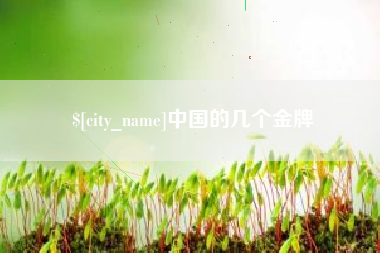 安丘中国的几个金牌