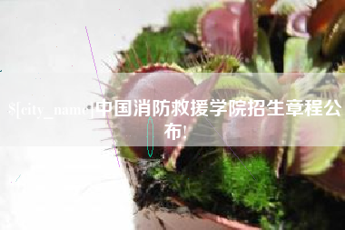 安丘中国消防救援学院招生章程公布!