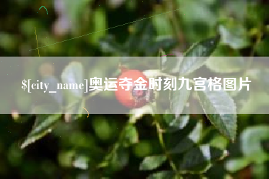 安丘奥运夺金时刻九宫格图片