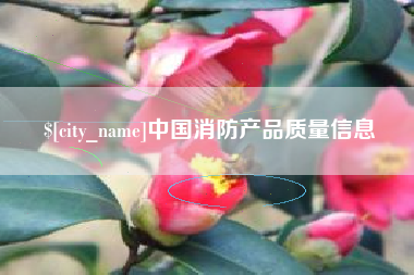 安丘中国消防产品质量信息