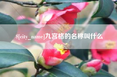 安丘九宫格的名称叫什么