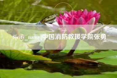 安丘中国消防救援学院张勇