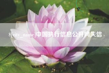 安丘中国执行信息公开网失信