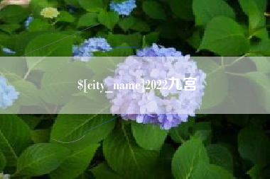 安丘2022九宫