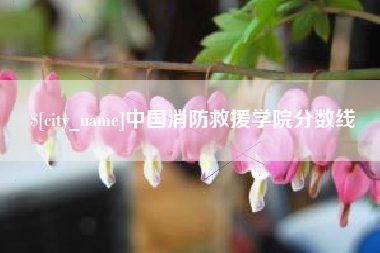 安丘中国消防救援学院分数线