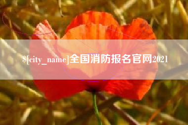 安丘全国消防报名官网2021