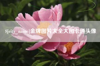 安丘金牌图片大全大图卡通头像