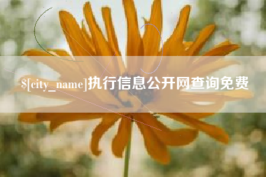 安丘执行信息公开网查询免费