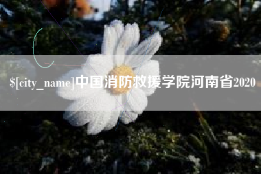 安丘中国消防救援学院河南省2020